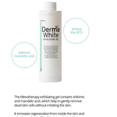 Stayve Derma White Exfoliating Gel and Neutralizing Foam Kit